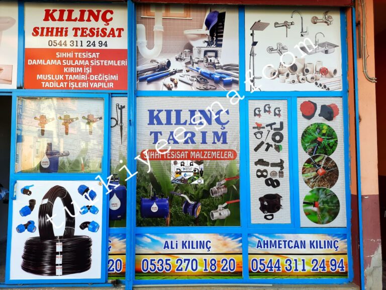 content_1787021747336