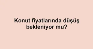 konut-fiyatlarinda-dusus-bekleniyor-mu