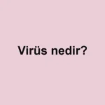 virus-nedir
