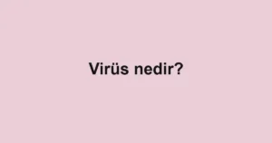 virus-nedir
